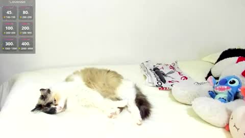 sophiebaker__ online show from 09.20.25