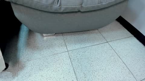 sophieharris__ online show from 01.23.25