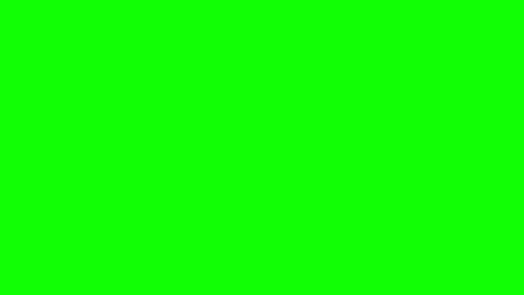 Bob online show from 10.10.25