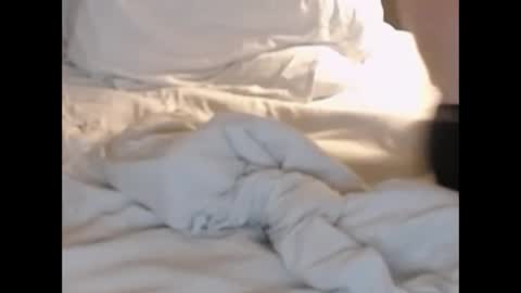 Snapshot of st8llion chatting on 02.27.25 st8llion online show from 02.27.25