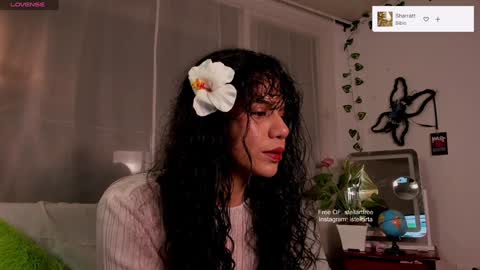 stellart_ online show from 12.29.24