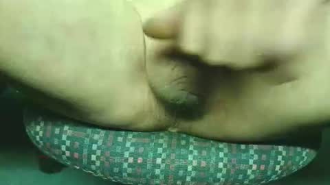 steri8888 online show from 11.24.25