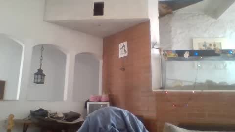 Snapshot of stevenson988 chatting on 12.26.24 stevenson988 online show from 12.26.24