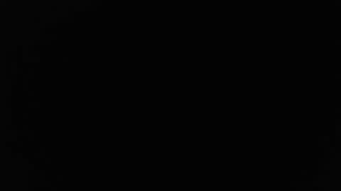 Stew Pididiot online show from 10.02.25