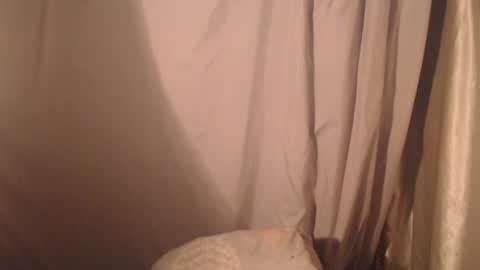 stonenipple online show from 10.28.25