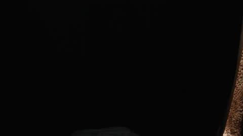 stonenipple online show from 11.26.25