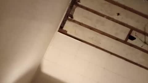 Snapshot of suckmeplease70 chatting on 11.02.25 suckmeplease70 online show from 11.02.25