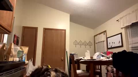 Snapshot of sunnbabe92485 chatting on 09.11.25 sunnbabe92485 online show from 09.11.25