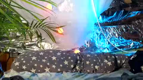 super jony and Marta GMT 1300-1800 every day online show from 10.09.25