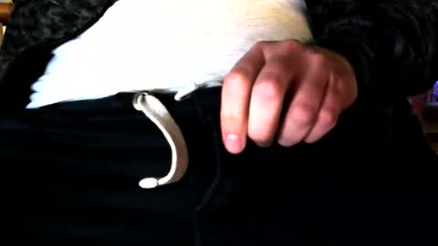 Snapshot of superstuntman1 chatting on 02.10.25 superstuntman1 online show from 02.10.25