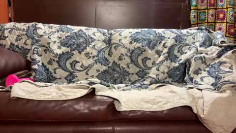 Snapshot of supremelifers chatting on 01.14.25 Stony online show from 01.14.25