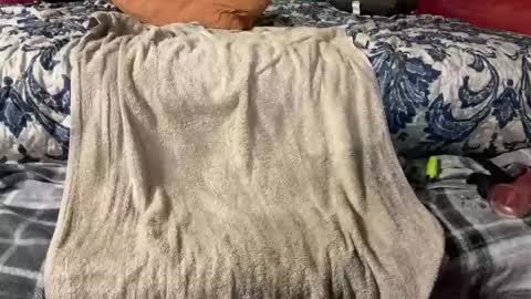 Snapshot of supremelifers chatting on 03.03.25 Stony online show from 03.03.25