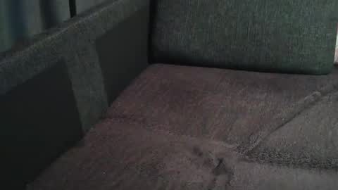 Snapshot of swartarn chatting on 12.21.24 ArnSwart online show from 12.21.24