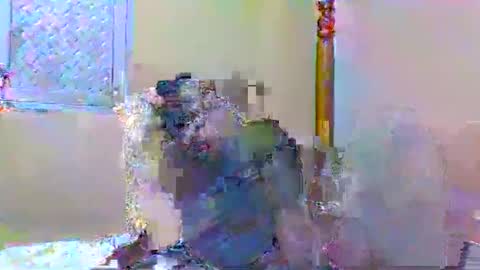 Snapshot of sweetib1 chatting on 01.04.25 sweetib1 online show from 01.04.25