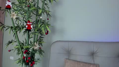 Snapshot of sweett_petite chatting on 12.29.24 online show from 12.29.24