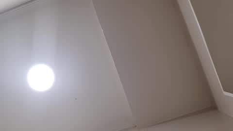 Silvia online show from 01.19.25