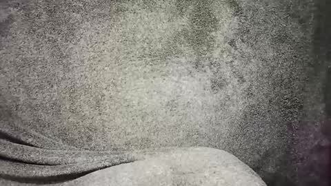 Snapshot of t0ny_cawk chatting on 12.22.24 t0ny_cawk online show from 12.22.24