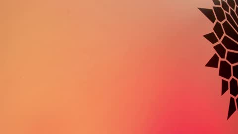 Snapshot of tamarathompsonn chatting on 02.25.25 Tamara. online show from 02.25.25