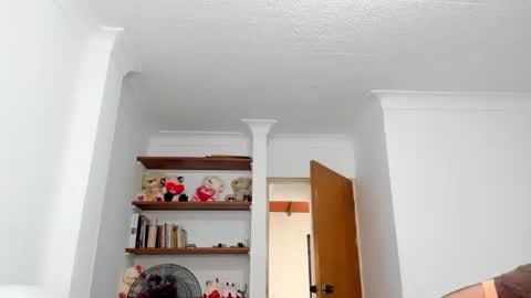 Snapshot of teles10 chatting on 02.03.25 Teles2023 online show from 02.03.25