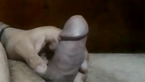 Snapshot of texasbigdaddy63 chatting on 09.19.25 texasbigdaddy63 online show from 09.19.25