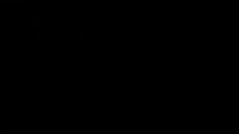 CJ online show from 12.19.24