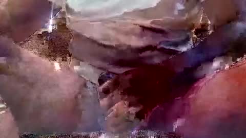 That Guy J online show from 02.11.25