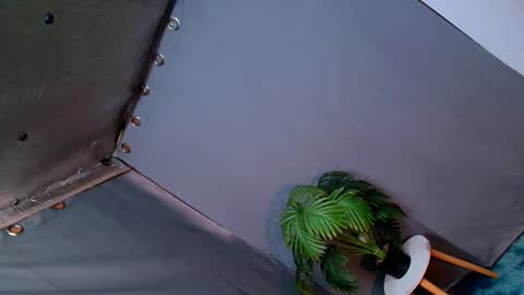 Snapshot of thedevil_inme chatting on 12.13.24 Lana But you can spell it backwards online show from 12.13.24