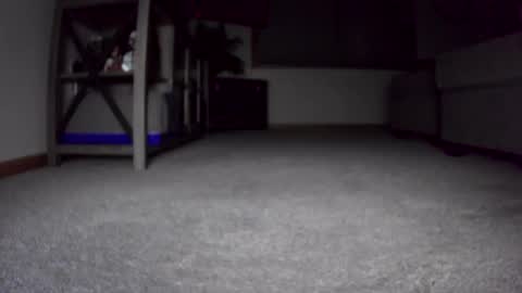 Snapshot of thegreat6268469 chatting on 12.24.24 thegreat6268469 online show from 12.24.24