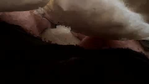 Snapshot of thelonlyboy chatting on 11.19.25 thelonlyboy online show from 11.19.25