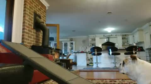 Snapshot of therealkurva4u chatting on 09.25.25 therealkurva4u online show from 09.25.25
