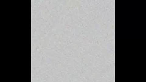 Snapshot of throbbingbrain chatting on 02.23.25 Rob online show from 02.23.25