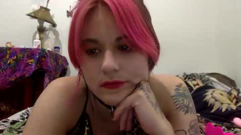 Tigerlily online show from 09.20.25