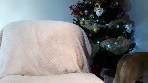 Enzo Moretti online show from 11.28.25