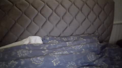 Snapshot of torrino12 chatting on 01.06.25 torrino12 online show from 01.06.25