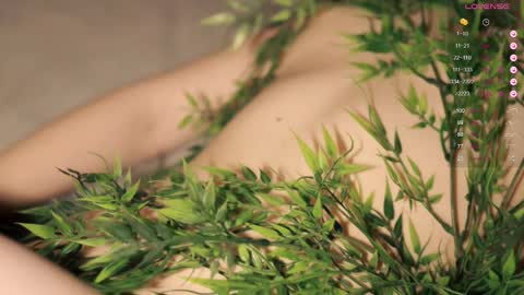 Toshi online show from 09.17.25