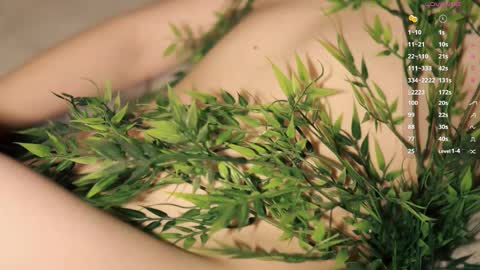 Toshi online show from 12.01.25