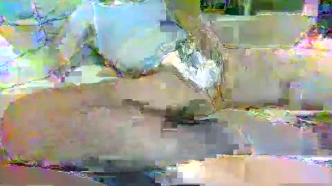 Snapshot of tree33007 chatting on 11.03.25 tree33007 online show from 11.03.25