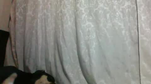 Snapshot of triana_bell chatting on 01.14.25 triana_bell online show from 01.14.25