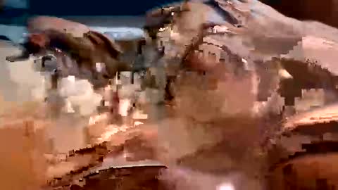 Snapshot of trigood chatting on 02.13.25 trigood online show from 02.13.25