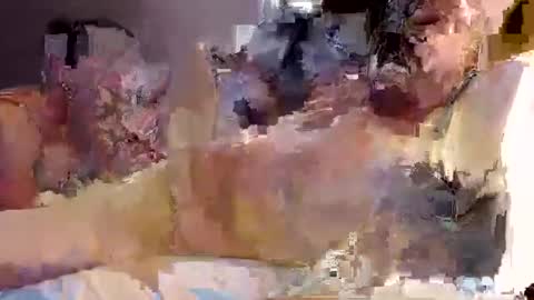 Snapshot of trojanswingers chatting on 02.11.25 trojanswingers online show from 02.11.25