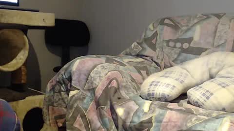 Snapshot of tyson2525 chatting on 02.22.25 Helena and Tyson online show from 02.22.25