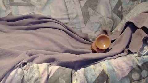 Snapshot of tyson2525 chatting on 09.21.25 Helena and Tyson online show from 09.21.25