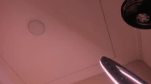 Violeta  online show from 10.15.25