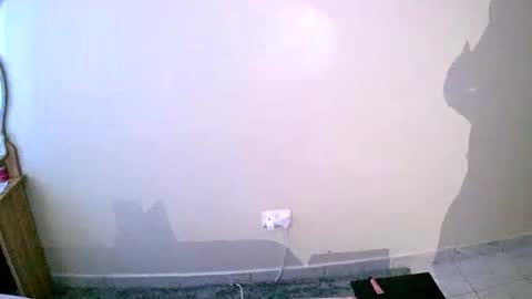 Your Virtual Wife online show from 01.19.25