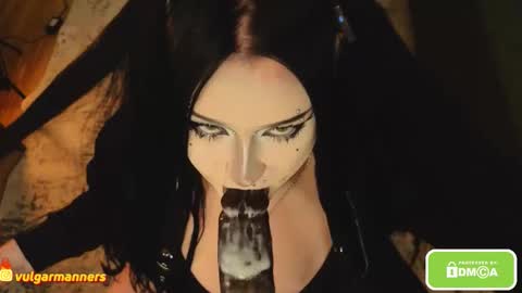 Snapshot of vulgarmanners_ chatting on 11.30.25 Ada online show from 11.30.25