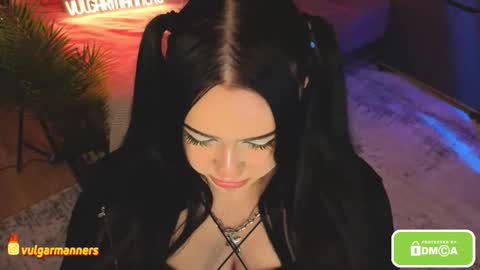 Snapshot of vulgarmanners_ chatting on 12.04.25 Ada online show from 12.04.25