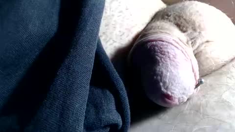 Snapshot of wantsum2night chatting on 11.06.25 wants online show from 11.06.25