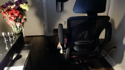 wasted_daze_ online show from 10.25.25