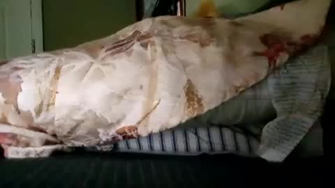 welldny online show from 10.19.25