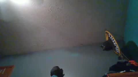 wetduck77777 online show from 10.05.25